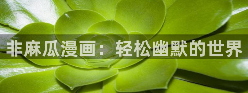 动漫尾巴版：非麻瓜漫画：轻松幽默的世界