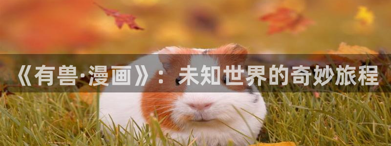 风之谷尾巴动漫：《有兽·漫画》